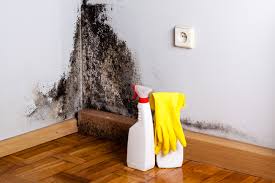  Strongsville, OH Mold Removal Services Pros